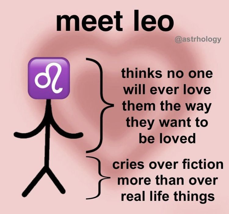 Meet Leo meme about wanting to feel loved and crying over fictional stories.