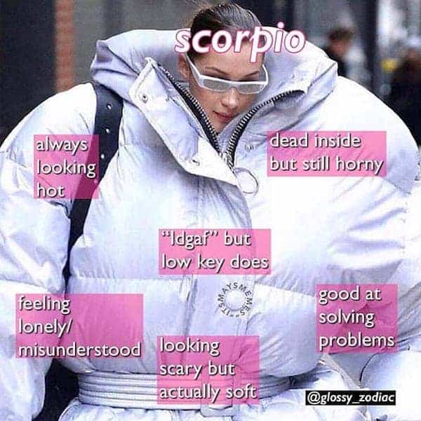 Scorpio meme: a person in a silver puffer jacket with labels contrasting a cool exterior with a softer side.